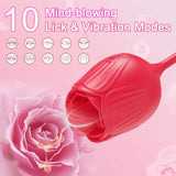 2 In 1 Clit Licking Vibrator for Women Thrusting Vagina Stimulator Female Masturbator - Purple - Front View