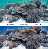 Waterproof Housing Case for Gopro Hero6 / 5 with Touch Screen Back Cover - 45m - 45-Degree Angle