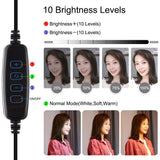 10.2 Dual-colour Led Ring Light with Usb Bluetooth Remote and Phone Holder - White