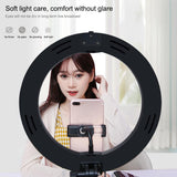 10.2 Dual-colour Led Ring Light with Usb Bluetooth Remote and Phone Holder - White - Extra Image
