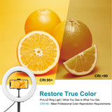 10.2 Dual-colour Led Ring Light with Usb Bluetooth Remote and Phone Holder - White - Extra Image