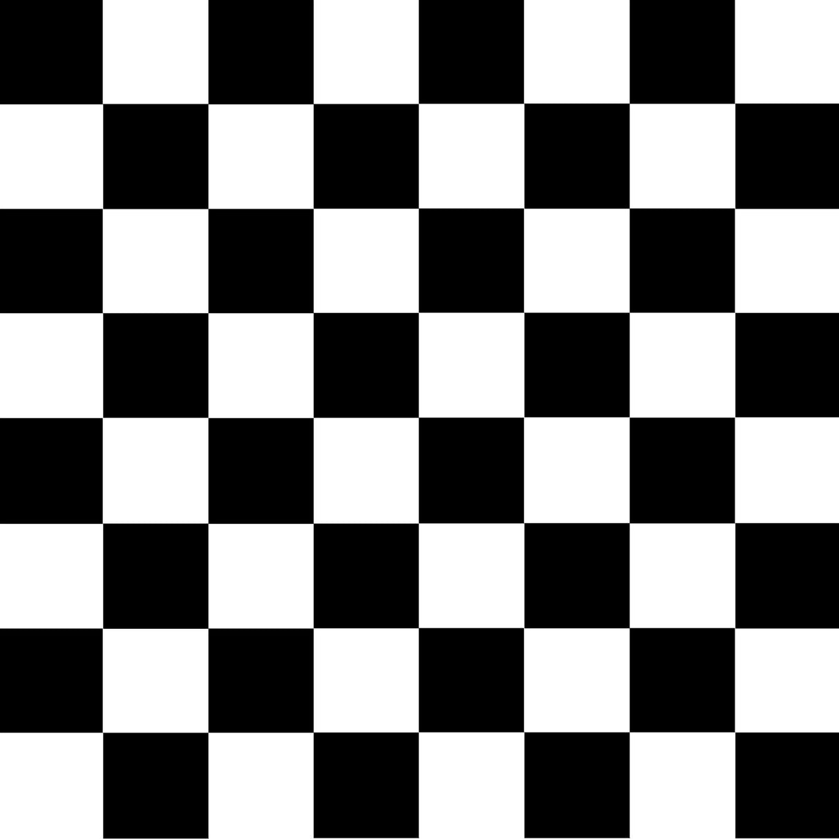 Race Car Checkered Triangle Bunting Flag Banner - 3.6 Metres Hanging Decoration
