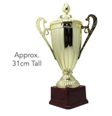 Large Classic Gold Trophy Cup Novelty Winners Prize Solid Achievement Award - Side View