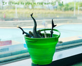 7 Litre Foldable Collapsible Silicone Bucket for Home/Hiking/Camping/Fishing - Green - Close-Up Angle
