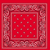 BANDANA Paisley 100% COTTON Head Wrap Durag Bandanna Summer Biker Scarf Mask - Red - Front View