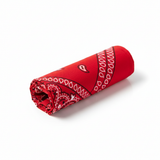 BANDANA Paisley 100% COTTON Head Wrap Durag Bandanna Summer Biker Scarf Mask - Red