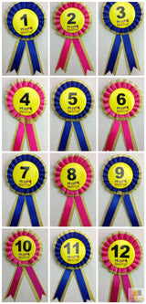 Kids' Birthday Celebration Award Rosette - Fun Party Favor for Boys and Girls - Side View