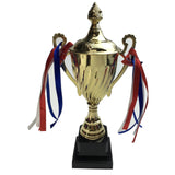 30cm TROPHY CUP Sport Award Football School Table Tennis Gold Winner - Top-Down View