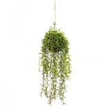 60cm Moss Ball w Senecio Hanging Artificial Plant Flower (with Rope) Fake - Front View
