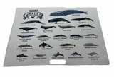 TYPES OF WHALES A4 Matte Laminated Poster Print Fish - 210mm x 297mm - Side View