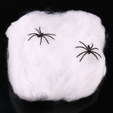 STRETCHABLE SPIDER WEB Spooky Halloween Decoration + 2 Spiders Party Decor Ghost - Top-Down View