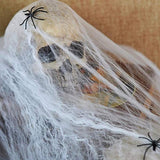 STRETCHABLE SPIDER WEB Spooky Halloween Decoration + 2 Spiders Party Decor Ghost - Rear View