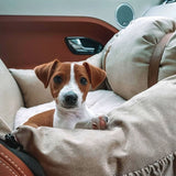 Premium Dog Booster Seat for Small Pets - Front View