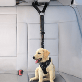 iBuddy Dog Seat Belt for Cars, Headrest Restraint with Locking Carabiner - Rear View