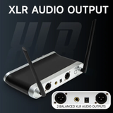 Hridz Wireless UHF Microphone Kit Dual Handheld Mics with 100m Range Receiver for Karaoke Meetings Parties - 45-Degree Angle