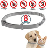PawfectFriend Flea Collar for Dogs 8 Months Natural Flea Tick Collar for Dog Puppy - Top-Down View