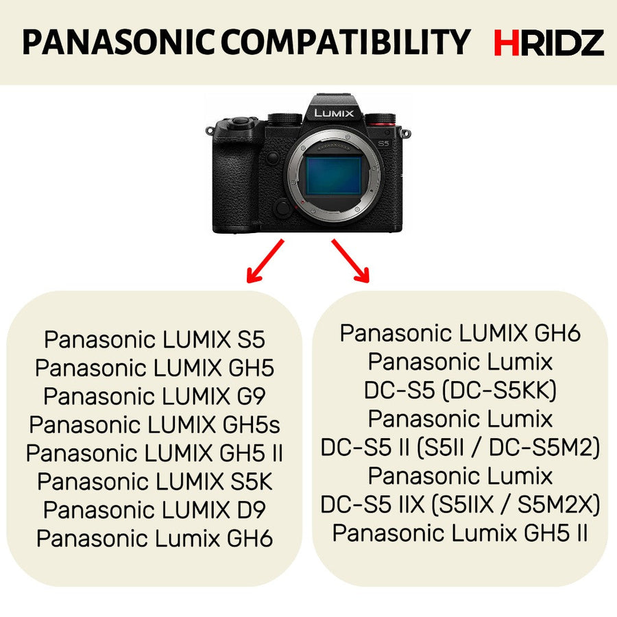 Hridz BLK22 2pcs Battery for Panasonic DMW-BLK22 LUMIX DSLR - 2-batteries only