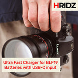 Hridz DMW-BLF19 Dual Charger For Panasonic GH3 & GH4 camera batteries - Top-Down View