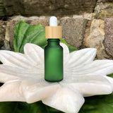 Cosmetic Bamboo Lid Glass Jar & Dropper Set - Front View
