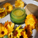 Cosmetic Bamboo Lid Glass Jar & Dropper Set - Top-Down View