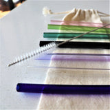 Glass Drinking Straw Set with Metal Straw Cleaner - 45-Degree Angle