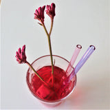 Glass Drinking Straw Set with Metal Straw Cleaner - Rear View
