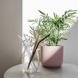 Stainless Steel Drinking Straw Set - Front View