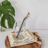 Stainless Steel Drinking Straw Set