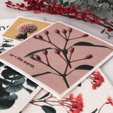 Washable Swedish Sponges - Set of 5 - 45-Degree Angle