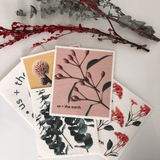 Washable Swedish Sponges - Set of 5 - Close-Up Angle