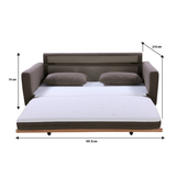 SHASA 2 Seater Pull-out Sofa bed Grey taupe - Rear View