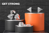 20KG Chrome Dumbbell Set Weight Dumbbells Home Gym Training Fitness BarBell Case - Front View