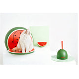 Vetreska Fruity Portable Cat Kitty Toilet Litter Box Tray House Lid Scoop Set Watermelon - Close-Up Angle