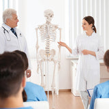 Human Skeleton Anatomical Model 180cm - Front View