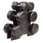 12kg Dumbbell Weights Set with Rack for Home Gym Training