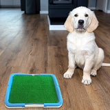 Portable Puppy Pet Toilet - Front View