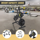 Olympic Weight Plate Storage Rack 250kg Capacity - Rear View