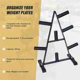 Olympic Weight Plate Storage Rack 250kg Capacity - Low Angle