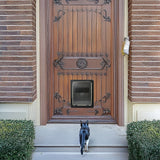 Pet Cat Dog Safe Security Flap Locking Door - Low Angle