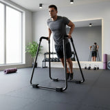 Heavy Duty Body Press Core Bars Push Up Home Gym Parallette Stand - 45-Degree Angle