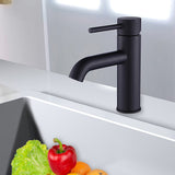Basin Mixer Tap Faucet -Kitchen Laundry Bathroom Sink - Front View