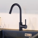 Kitchen Mixer Tap Faucet for Basin Laundry Sink - Front View