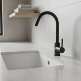 Kitchen Mixer Tap Faucet for Basin Laundry Sink - Front View