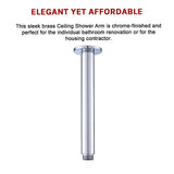 Shower Head Arm Wall Connector Round Bathroom Rainforest ShowerHead