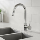Kitchen Mixer Tap Faucet for Basin Laundry Sink - Front View