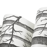 Wallpaper White Birch Tree Non-woven Wall Paper Roll - Top-Down View