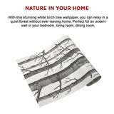 Wallpaper White Birch Tree Non-woven Wall Paper Roll - Rear View