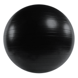 75cm Static Strength Exercise Stability Ball with Pump - Rear View