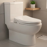 Non Electric Bidet Toilet Seat W/ Cover Bathroom Spray Water Wash - 45-Degree Angle