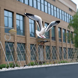 20x 50cm Bird Spike S304 wire Spikes Eaves Pigeon Gull Starling 10M - Front View